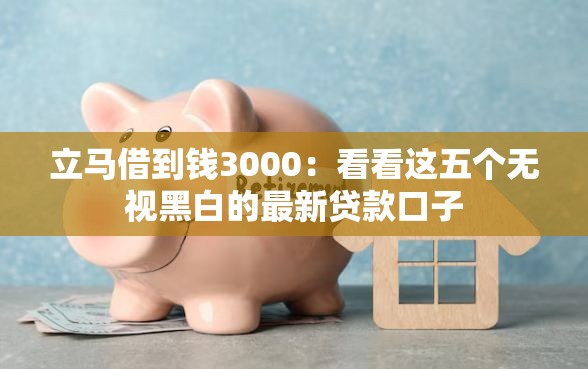 立马借到钱3000：看看这五个无视黑白的最新贷款口子