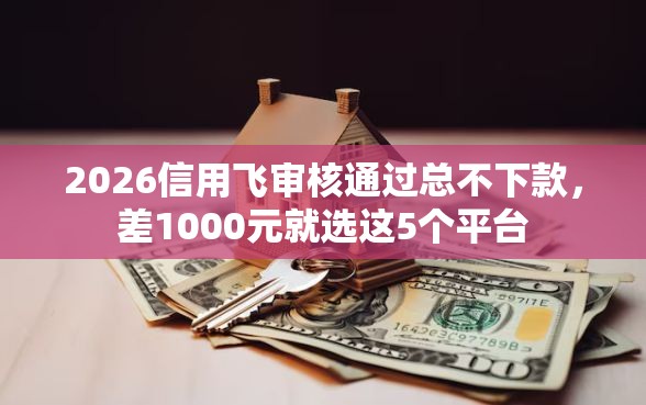 2026信用飞审核通过总不下款，差1000元就选这5个平台
