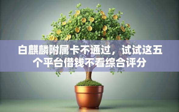 白麒麟附属卡不通过，试试这五个平台借钱不看综合评分