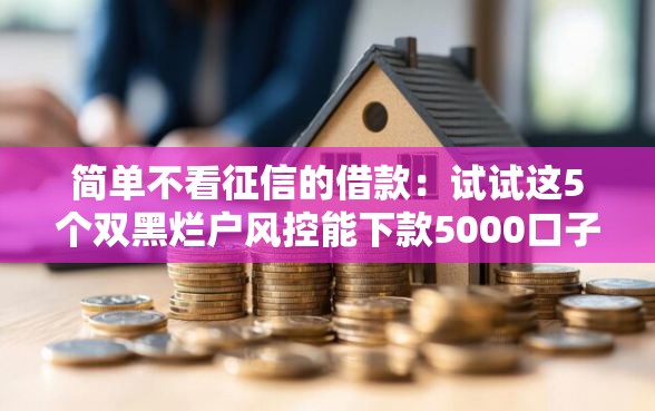 简单不看征信的借款：试试这5个双黑烂户风控能下款5000口子