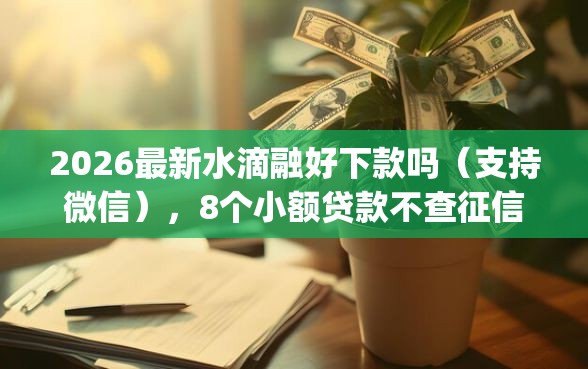 2026最新水滴融好下款吗（支持微信），8个小额贷款不查征信的app无私分享