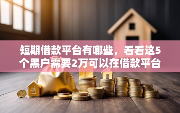 短期借款平台有哪些，看看这5个黑户需要2万可以在借款平台借款