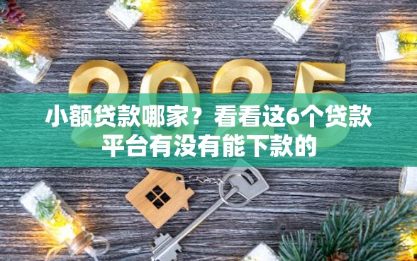 小额贷款哪家？看看这6个贷款平台有没有能下款的