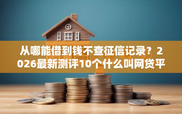 从哪能借到钱不查征信记录？2026最新测评10个什么叫网贷平台