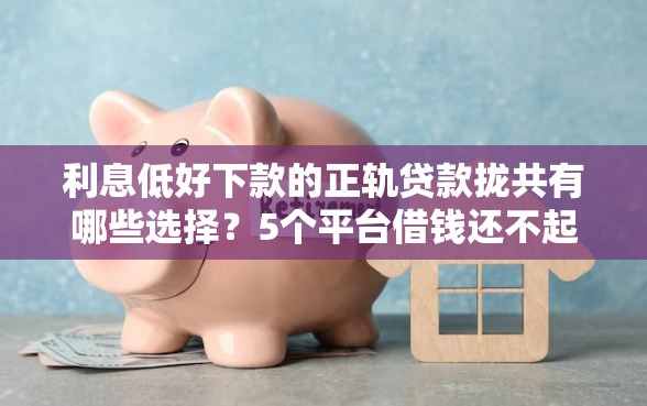利息低好下款的正轨贷款拢共有哪些选择？5个平台借钱还不起怎么办详解