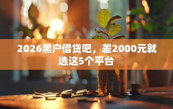 2026黑户借贷吧，差2000元就选这5个平台