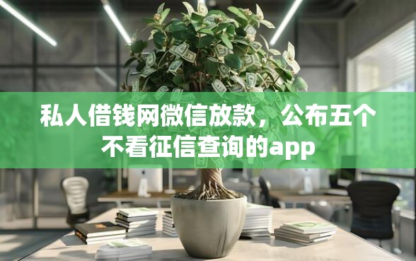私人借钱网微信放款，公布五个不看征信查询的app