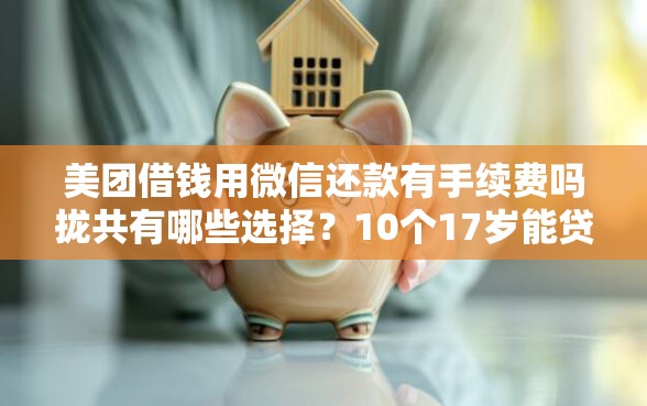 美团借钱用微信还款有手续费吗拢共有哪些选择？10个17岁能贷款的平台详解