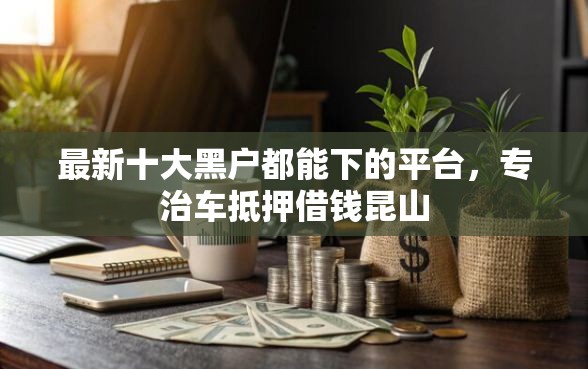 最新十大黑户都能下的平台，专治车抵押借钱昆山