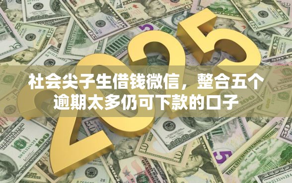 社会尖子生借钱微信，整合五个逾期太多仍可下款的口子