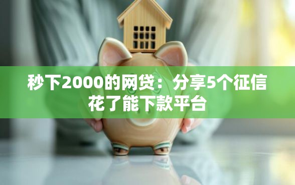 秒下2000的网贷：分享5个征信花了能下款平台