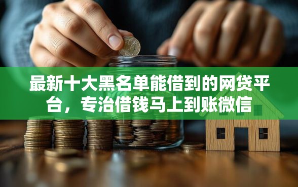 最新十大黑名单能借到的网贷平台，专治借钱马上到账微信