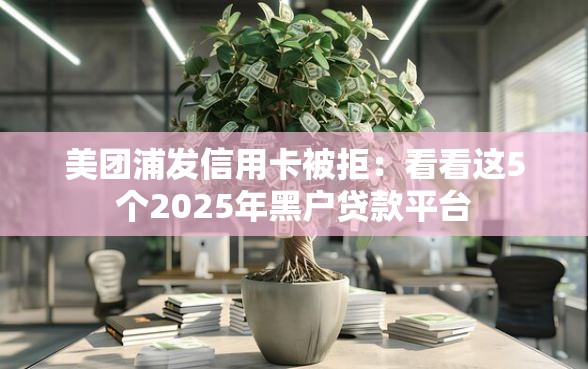美团浦发信用卡被拒：看看这5个2025年黑户贷款平台