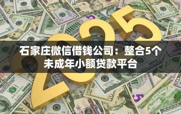 石家庄微信借钱公司：整合5个未成年小额贷款平台