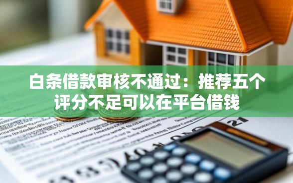 白条借款审核不通过：推荐五个评分不足可以在平台借钱
