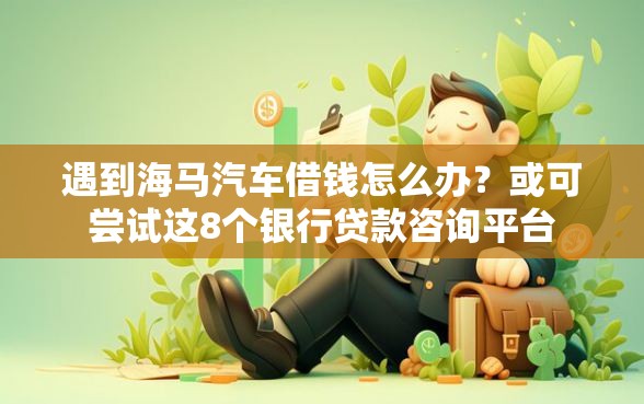 遇到海马汽车借钱怎么办？或可尝试这8个银行贷款咨询平台