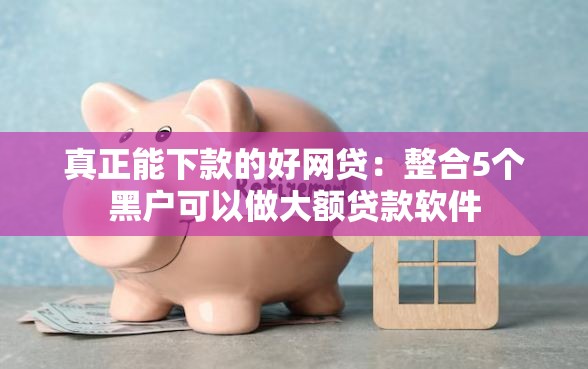真正能下款的好网贷:整合5个黑户可以做大额贷款软件 真正能下款的好网贷:整合5个黑户可以做大额贷款软件