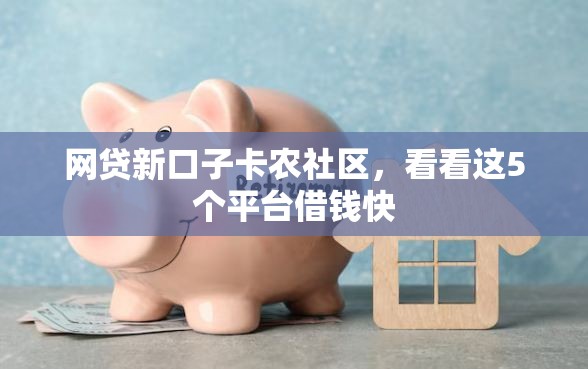 网贷新口子卡农社区，看看这5个平台借钱快