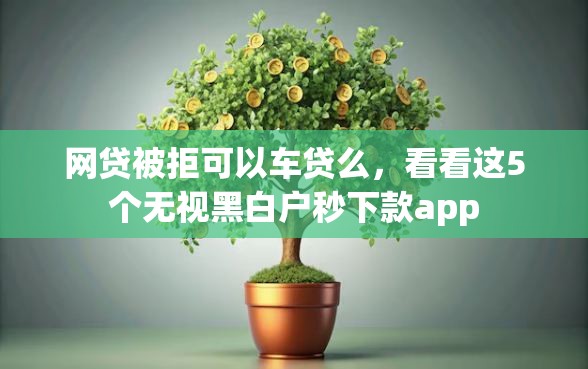 网贷被拒可以车贷么，看看这5个无视黑白户秒下款app