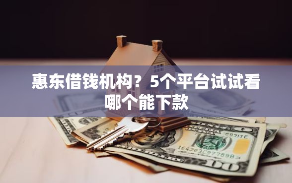 惠东借钱机构？5个平台试试看哪个能下款