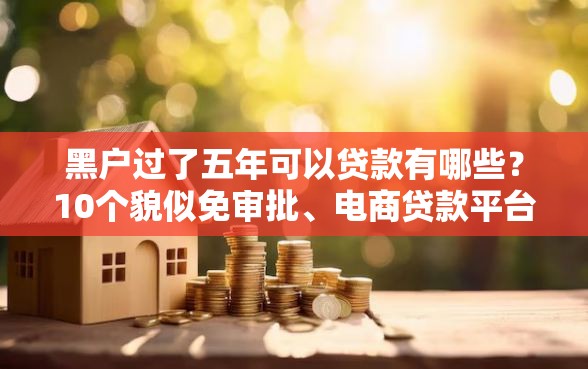 黑户过了五年可以贷款有哪些？10个貌似免审批、电商贷款平台合集