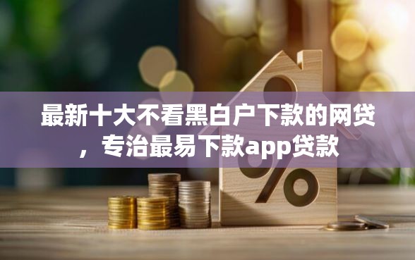 最新十大不看黑白户下款的网贷，专治最易下款app贷款