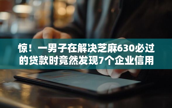 惊！一男子在解决芝麻630必过的贷款时竟然发现7个企业信用贷款平台，事后分享了出来