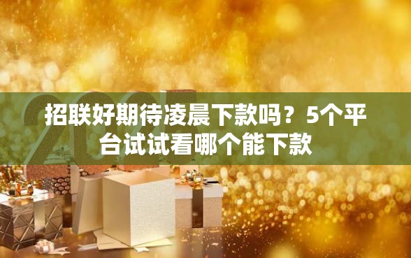 招联好期待凌晨下款吗？5个平台试试看哪个能下款