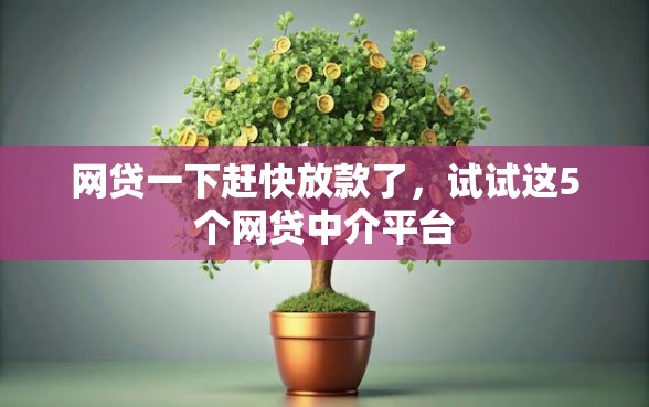 网贷一下赶快放款了，试试这5个网贷中介平台