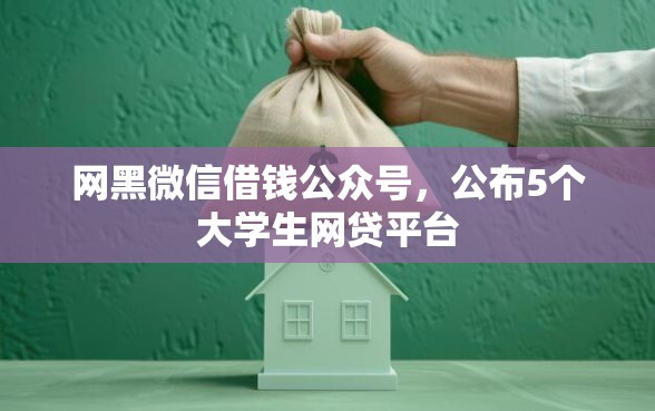 网黑微信借钱公众号，公布5个大学生网贷平台