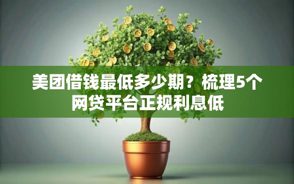 美团借钱最低多少期？梳理5个网贷平台正规利息低
