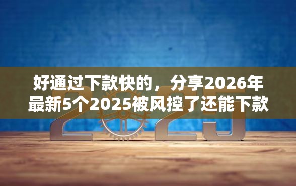 好通过下款快的，分享2026年最新5个2025被风控了还能下款的平台