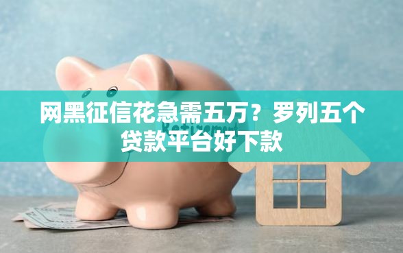网黑征信花急需五万？罗列五个贷款平台好下款