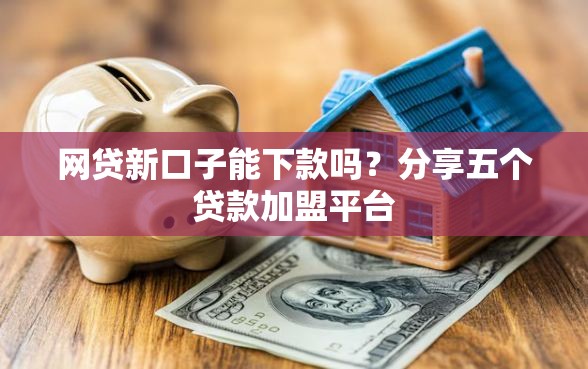 网贷新口子能下款吗？分享五个贷款加盟平台