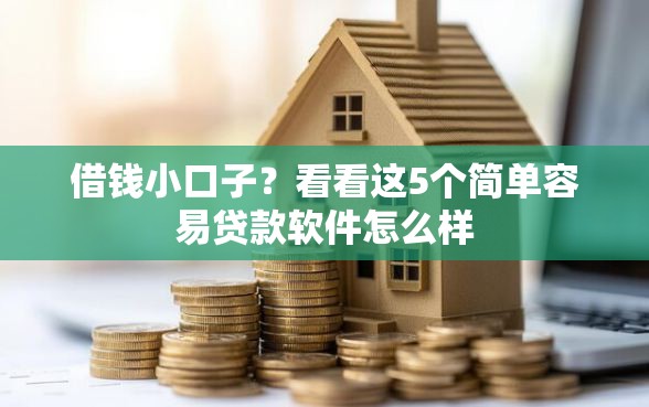 借钱小口子？看看这5个简单容易贷款软件怎么样