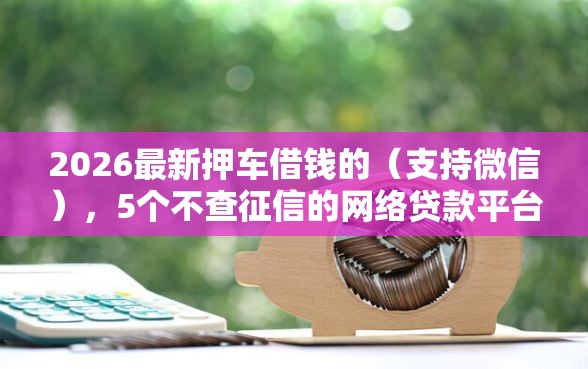 2026最新押车借钱的（支持微信），5个不查征信的网络贷款平台无私分享