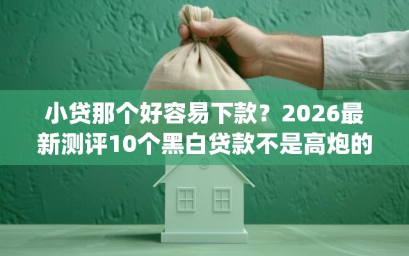 小贷那个好容易下款？2026最新测评10个黑白贷款不是高炮的app