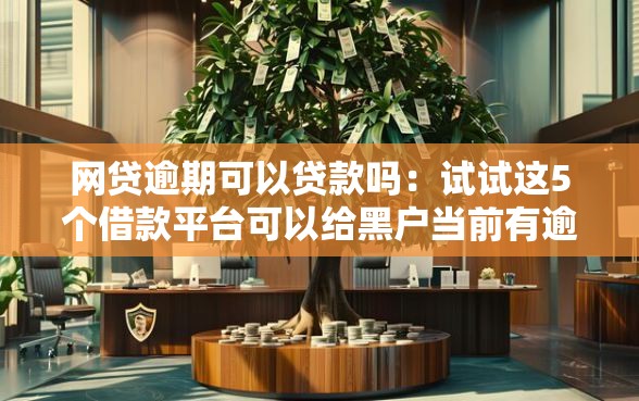 网贷逾期可以贷款吗：试试这5个借款平台可以给黑户当前有逾期的借款一万