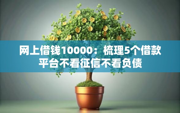 网上借钱10000：梳理5个借款平台不看征信不看负债