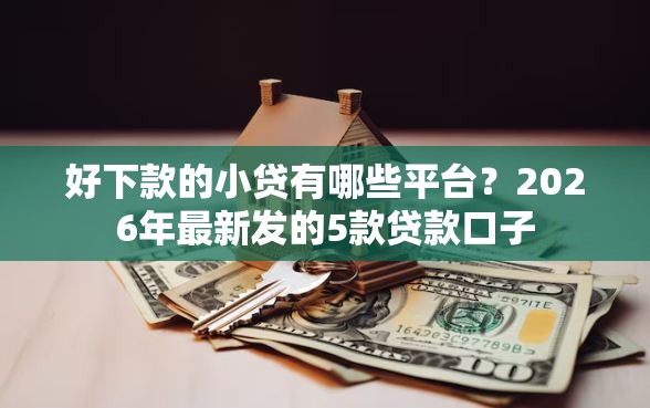 好下款的小贷有哪些平台？2026年最新发的5款贷款口子