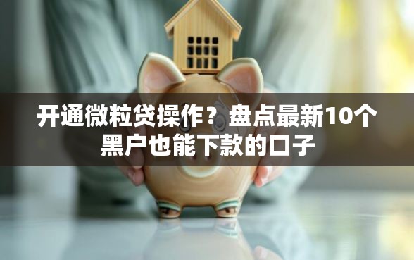 开通微粒贷操作？盘点最新10个黑户也能下款的口子