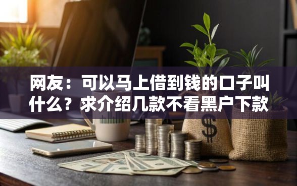 网友：可以马上借到钱的口子叫什么？求介绍几款不看黑户下款的软件