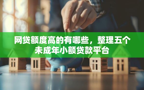 网贷额度高的有哪些，整理五个未成年小额贷款平台