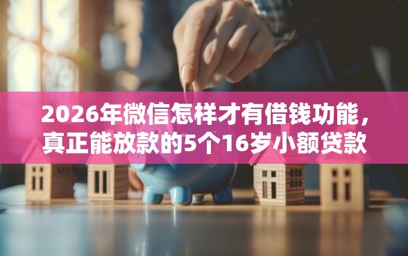 2026年微信怎样才有借钱功能，真正能放款的5个16岁小额贷款平台推荐