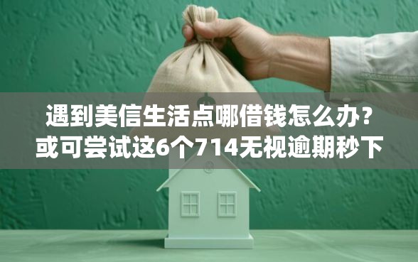 遇到美信生活点哪借钱怎么办？或可尝试这6个714无视逾期秒下的app