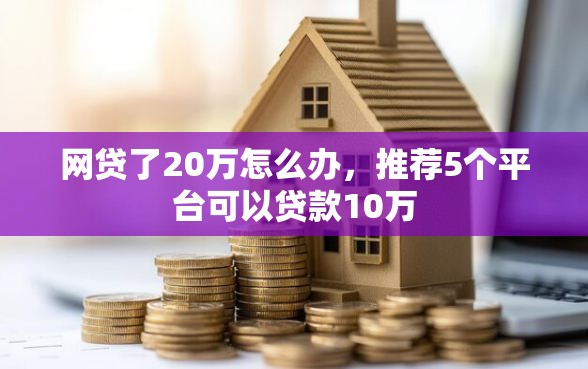 网贷了20万怎么办，推荐5个平台可以贷款10万