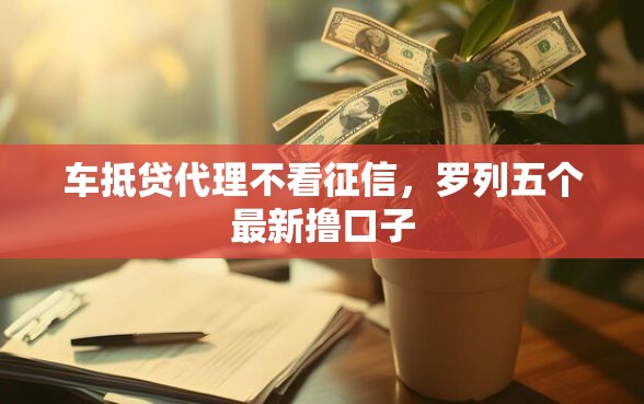 车抵贷代理不看征信，罗列五个最新撸口子