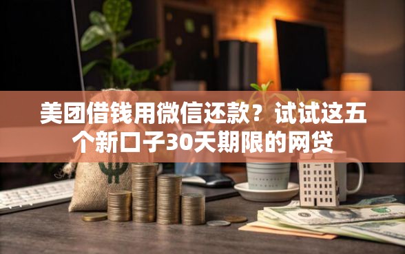 美团借钱用微信还款？试试这五个新口子30天期限的网贷