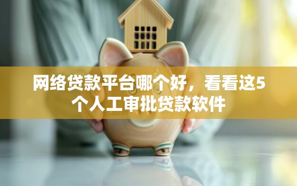 网络贷款平台哪个好，看看这5个人工审批贷款软件