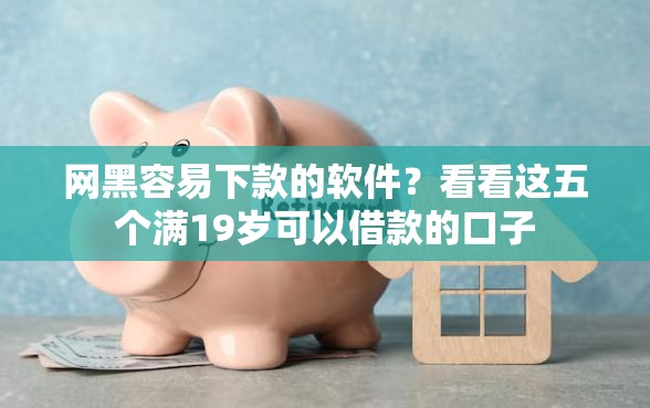 网黑容易下款的软件？看看这五个满19岁可以借款的口子